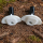 Mount-Me Boost Barends v3 Schwarz