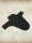 Mudguard Trailrider Logo