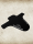 Mudguard Trailrider Logo